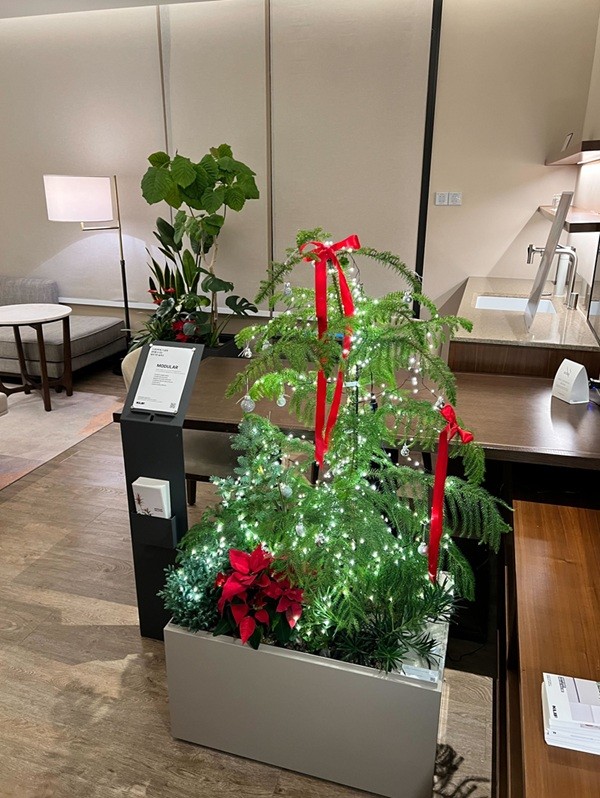 클리프(KLIF), '2025 르블랑 윈터 아트페어' 참가 - 뉴스 썸네일 이미지